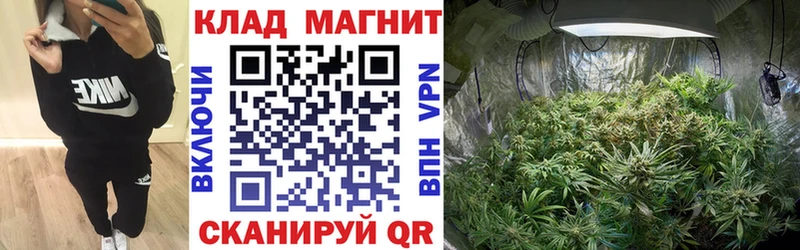 Купить наркоту Светлый Канабис  A PVP  ГАШ  АМФЕТАМИН  COCAIN  Меф мяу мяу 