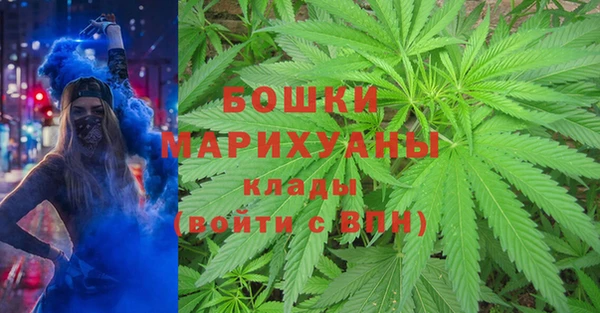 амф Белокуриха