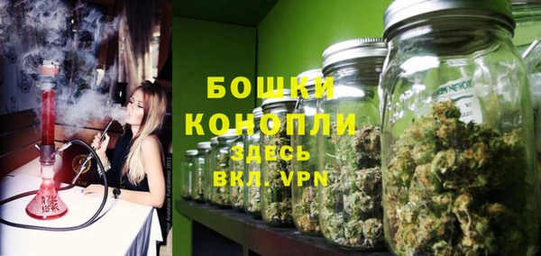 PSILOCYBIN Беломорск