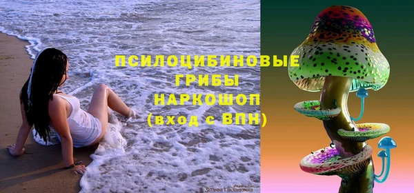 PSILOCYBIN Беломорск