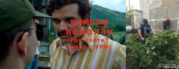 амф Белокуриха